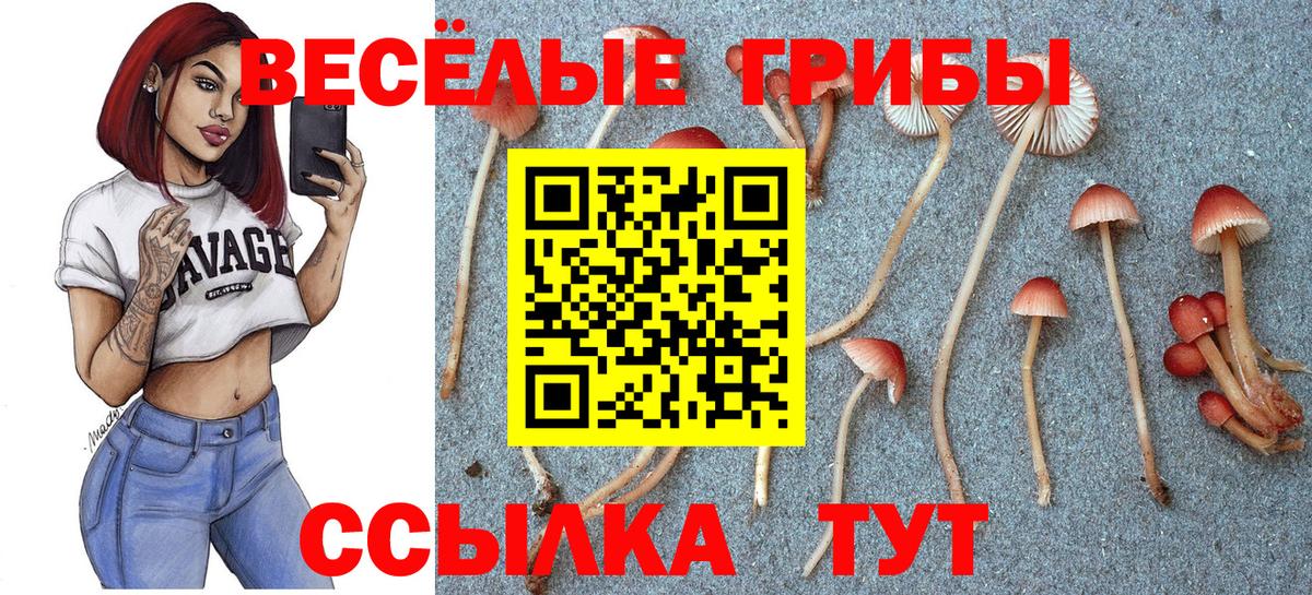 Гашиш Киров