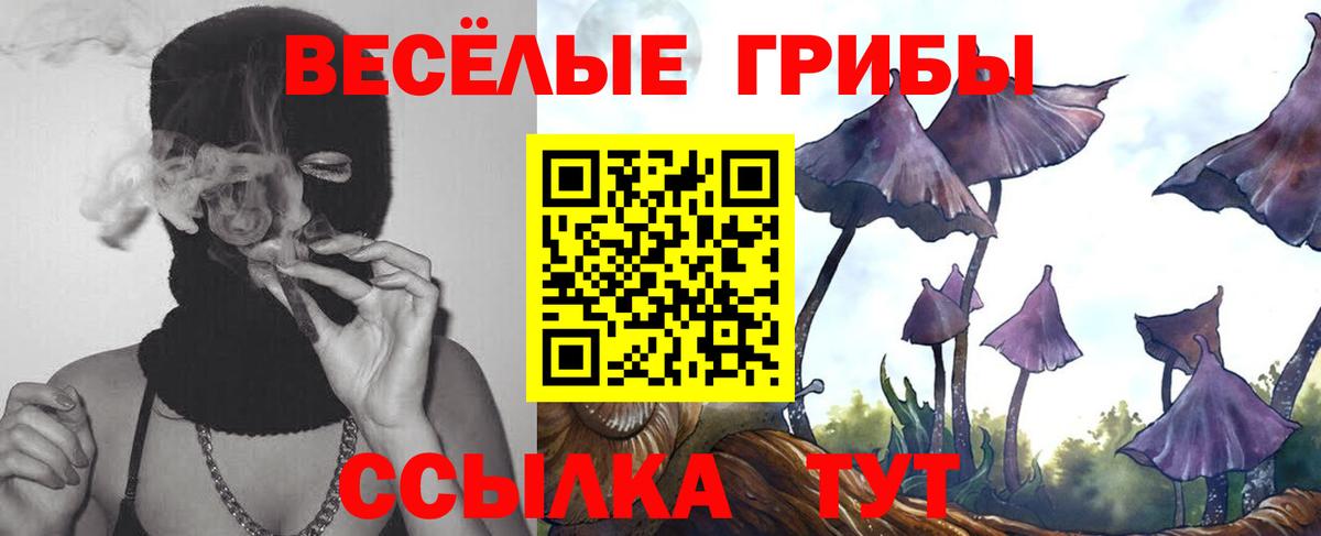 Галлюциногенные грибы Psilocybe  Галлюциногенные грибы Cubensis  Вход с VPN  Киров 
