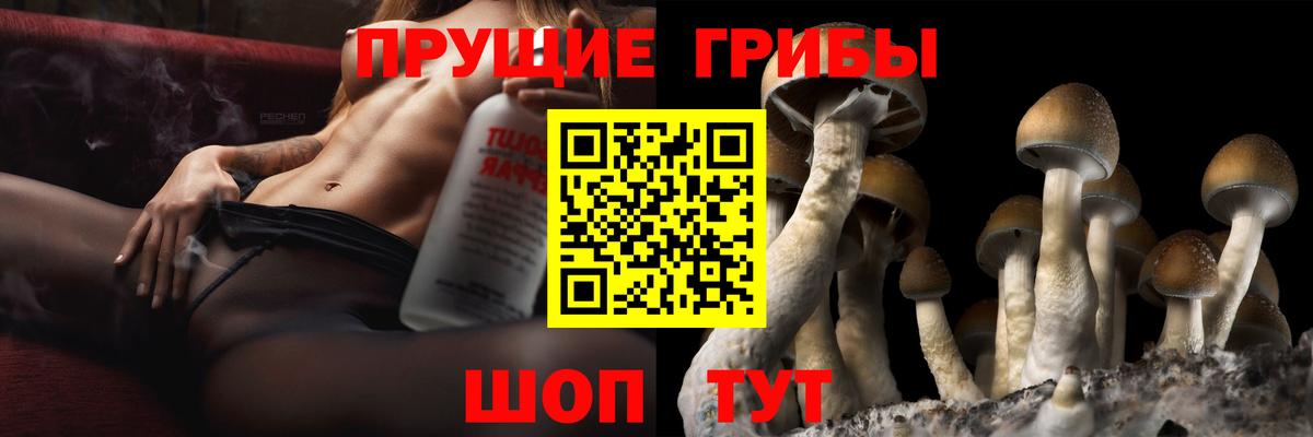 Псилоцибиновые грибы мицелий Киров